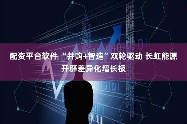 配资平台软件 “并购+智造”双轮驱动 长虹能源开辟差异化增长极